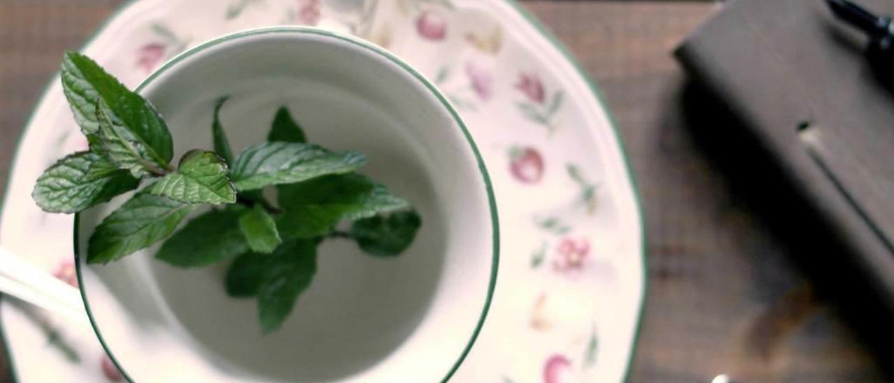 Hojas de menta en una taza.