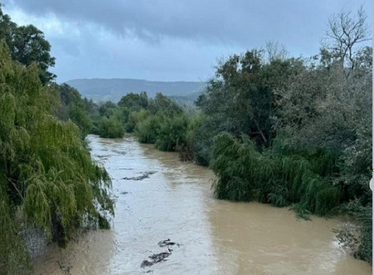 Casares vigila la crecida del río Guadiaro tras las lluvias caídas en los municipios gaditanos limítrofes.