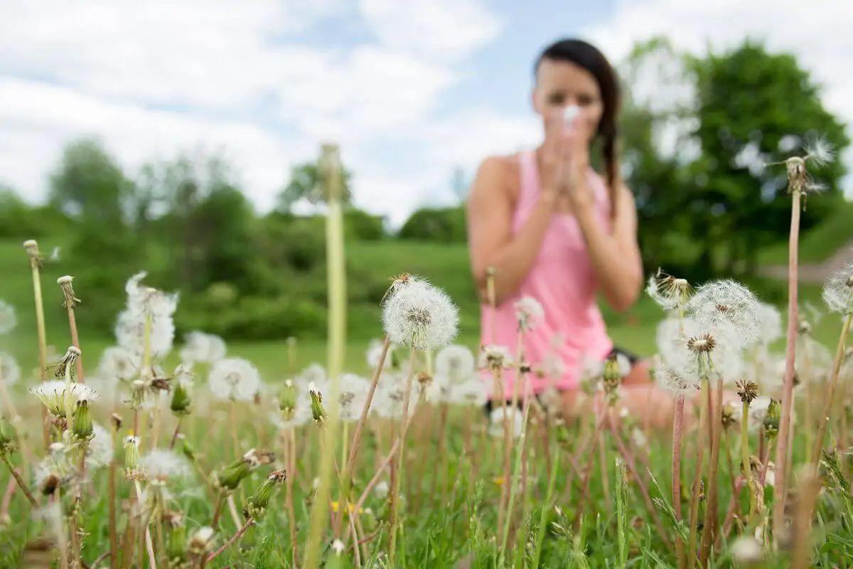 Cada vez hay más afectados por el polen