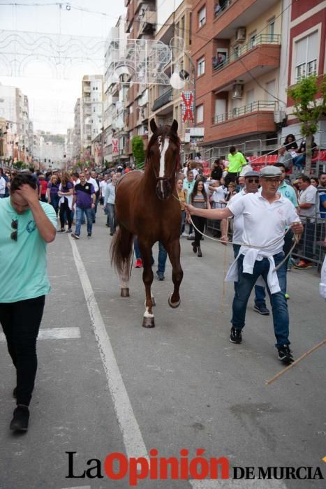 Caballos del Vino: Concurso morfológico (salida Pl