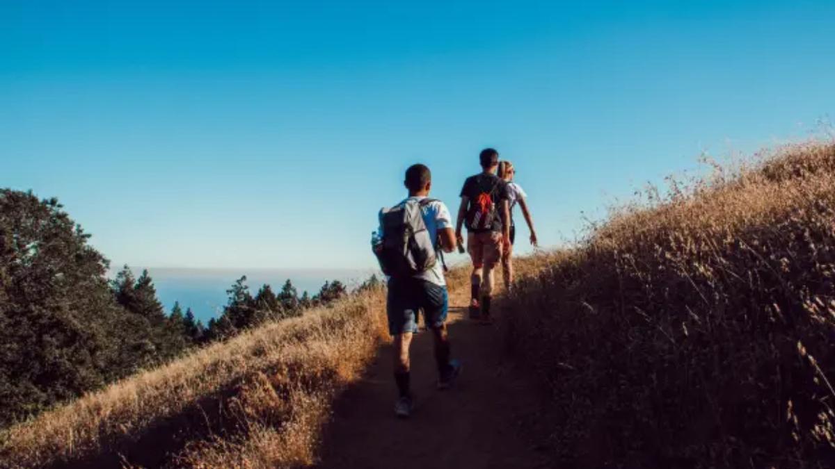 Estar en forma es fácil y simple: estos son los pasos que tienes que andar al día para conseguirlo