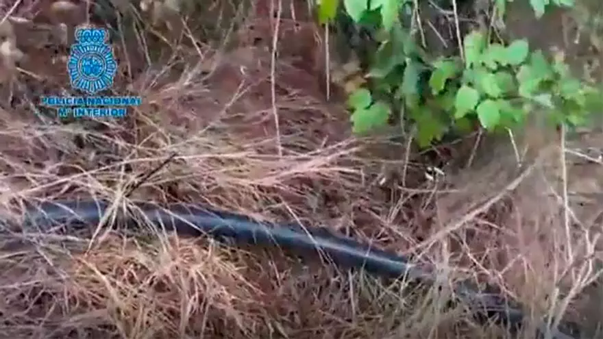 Así era el artefacto que derramaría cientos de litros de líquido al paso de La Vuelta a España por Lérida