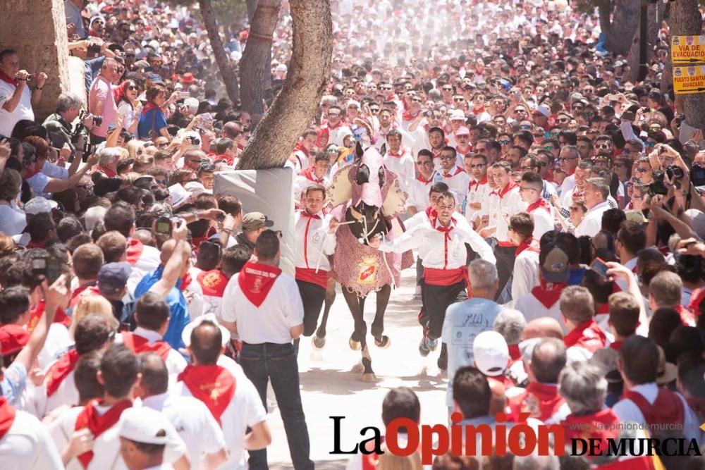 Carrera de los Caballos del Vino