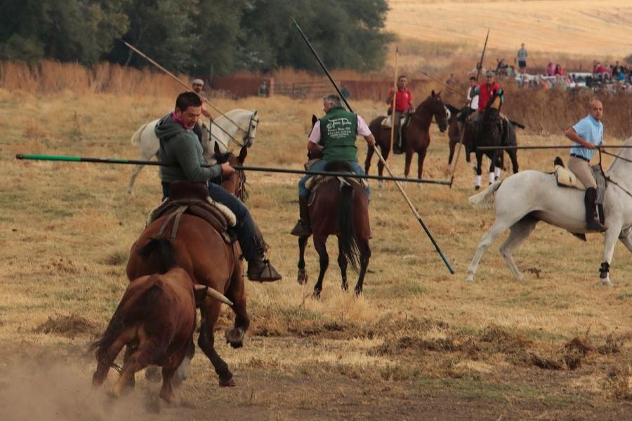 Encierro en San Miguel de la Ribera