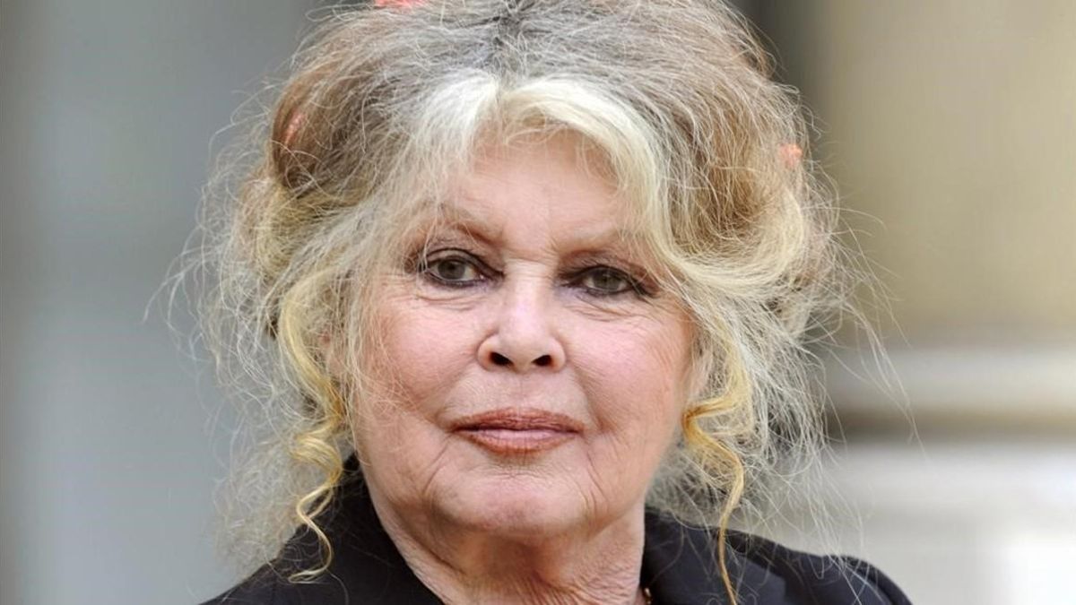 Brigitte Bardot publicará un "libro testamento"