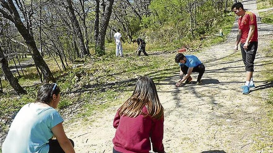 Convocan un curso de botánica en el centro de educación ambiental[antetit.110] CUACOS DE YUSTE  CONOCIMIENTOS SOBRE MEDIOAMBIENTE