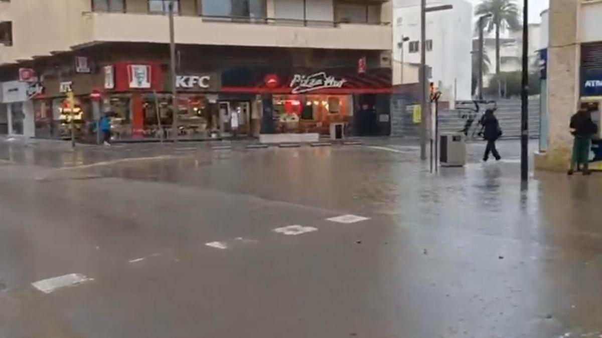 VÍDEO | Un reguero de heces inunda Ibiza