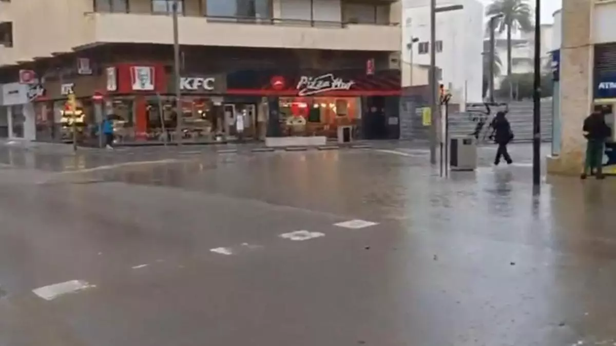 VÍDEO | Un reguero de heces inunda Ibiza