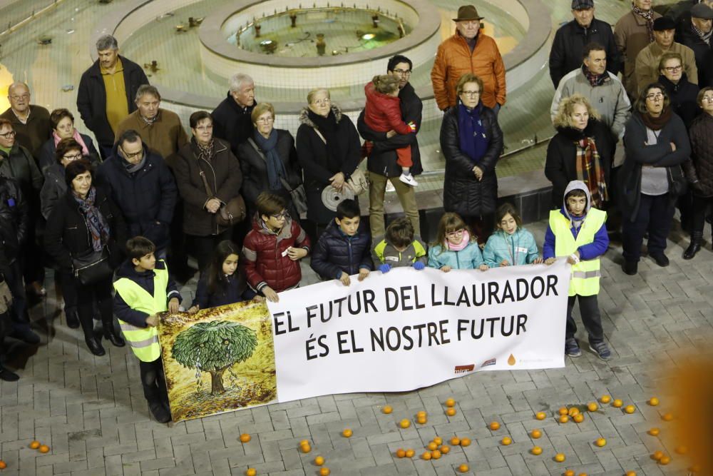 Protesta de citricultores en Castelló