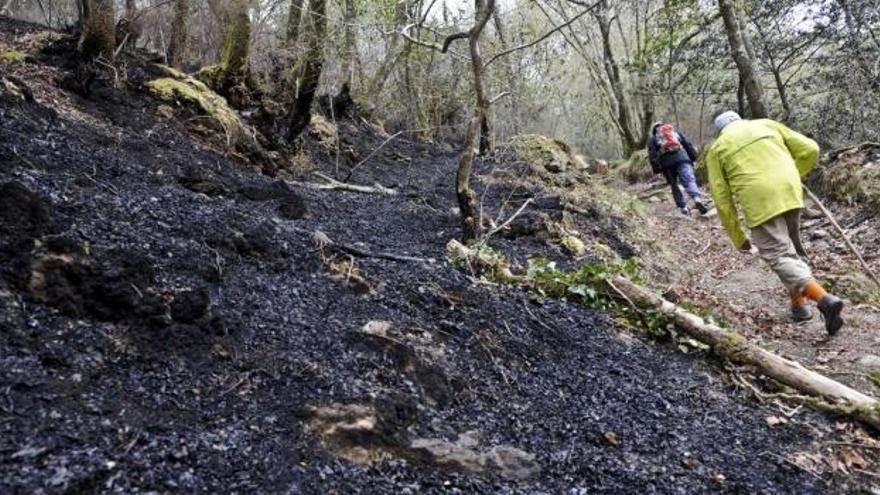 Dos caminantes pasean ayer por uno de los senderos de las Fragas do Eume. / fran martínez