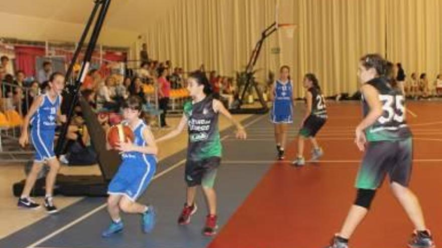 Marina d&#039;Or acoge su torneo de baloncesto base.