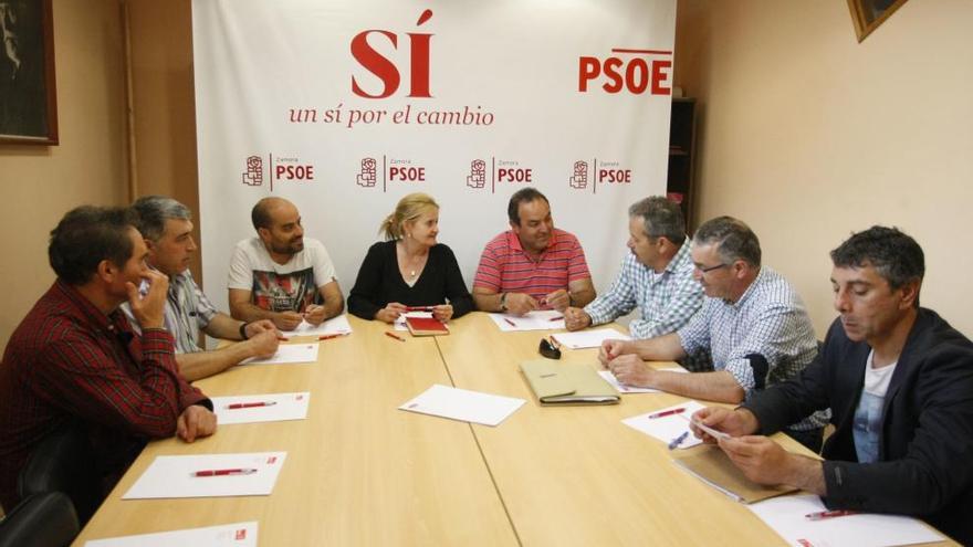 Rominguera, reunida con integrantes de COAG y la OPA junto a los diputados socialistas Luis Segovia y Eduardo Folgado.