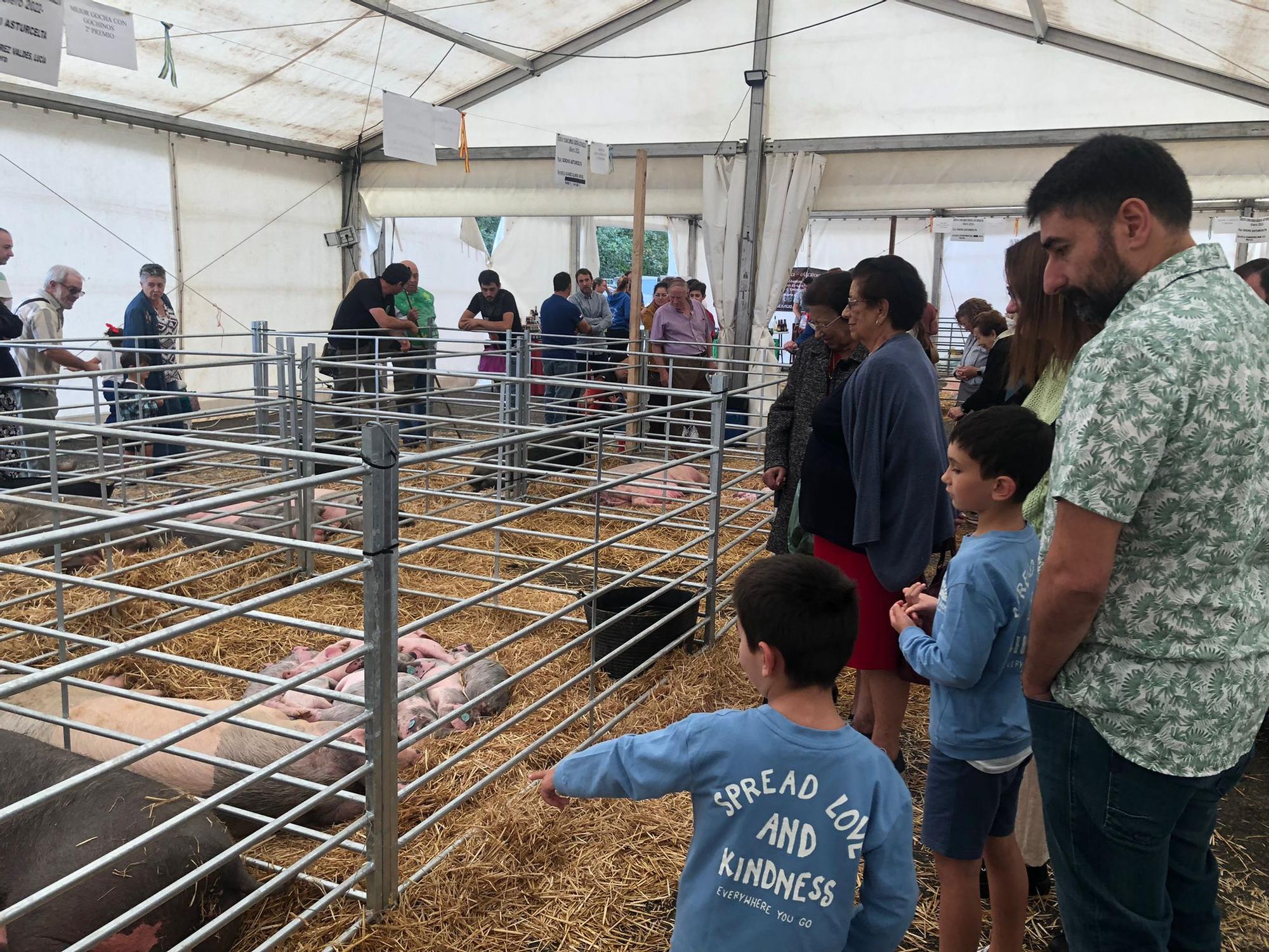 Así fue la última jornada de Agrosiero