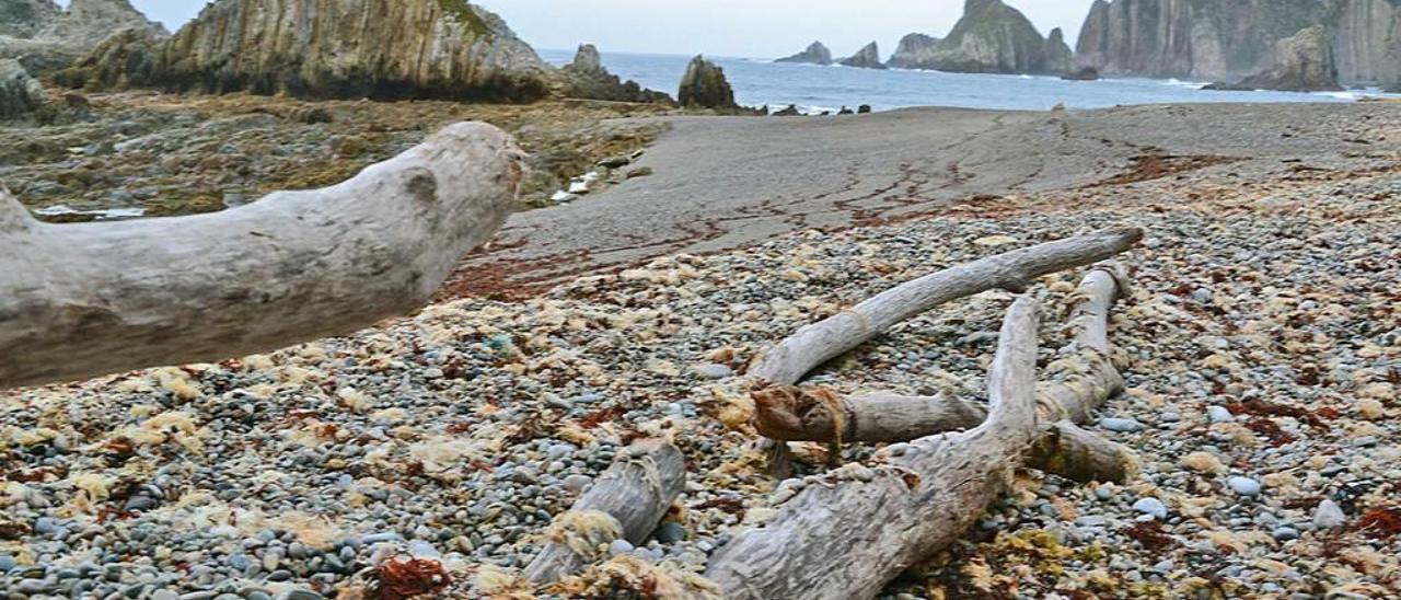 La playa donde la Luna duerme