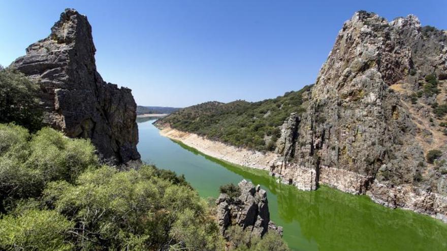 Parque Nacional de Monfragüe afectado por la escasez de agua antes de las últimas lluvias.