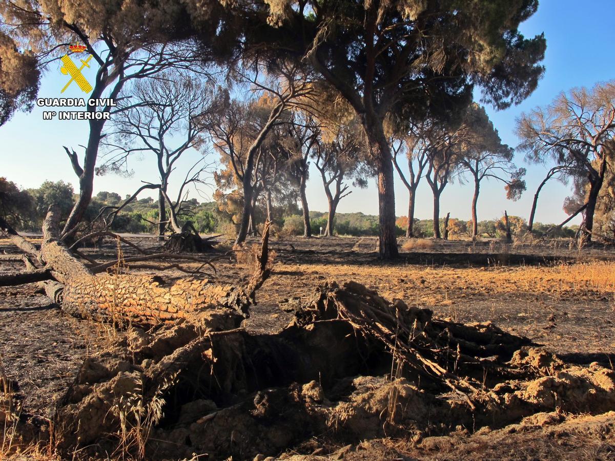 Imagen de la zona en la que se produjo el incendio