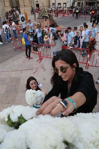 Ofrenda de flores a Sant Pasqual en Vila-real