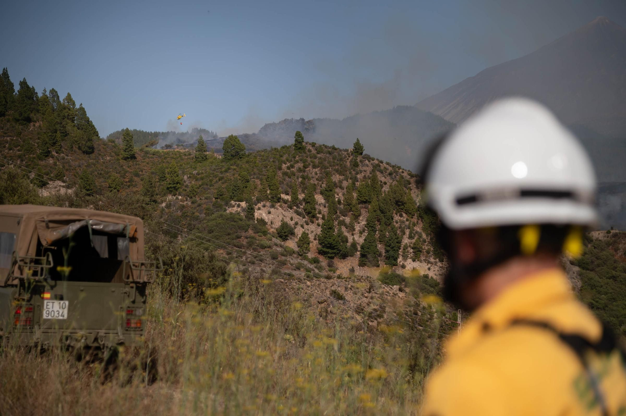 Imágenes del incendio declarado en El Tanque