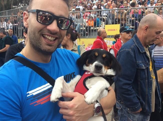 Carnaval de Las Palmas de Gran Canaria 2017: Carnaval Canino