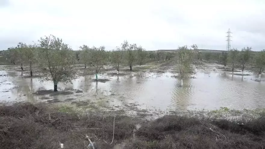 Vídeos | Campos anegados tras el desbordamiento del río Guadaíra por Arahal
