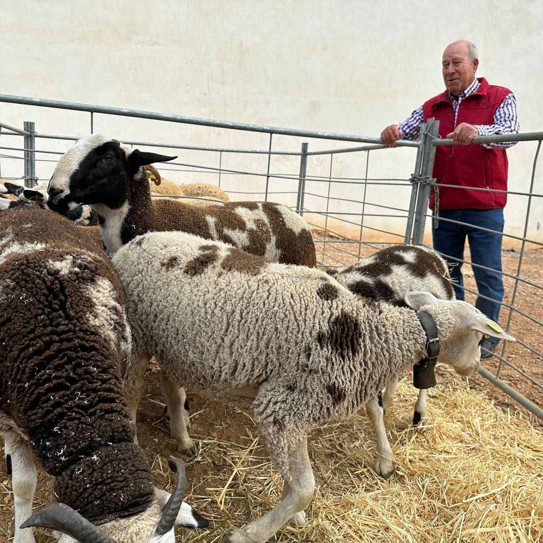 Visita la XXIV Fira de Vall d'Alba