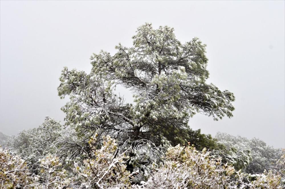 Vuelve a nevar en la Región de Murcia