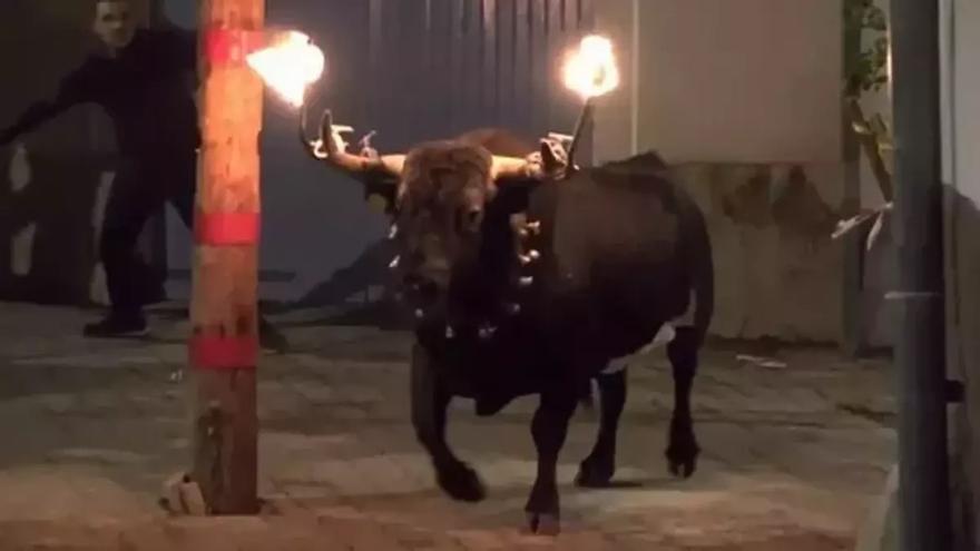 El PP mantiene el toro embolado en Alicante porque es &quot;historia, cultura y tradición&quot;