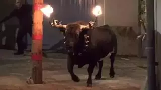 El PP mantiene el toro embolado en Alicante porque es "historia, cultura y tradición"