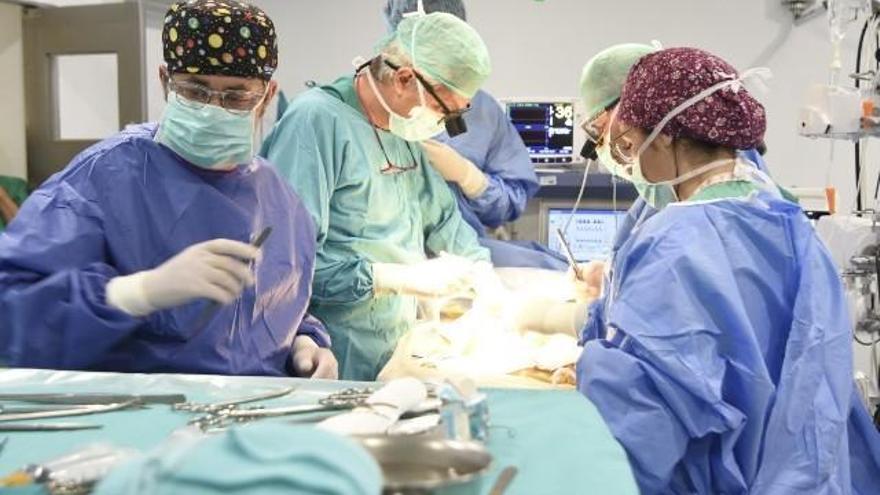 Los trasplantes renales caen un 45% este año por el covid-19