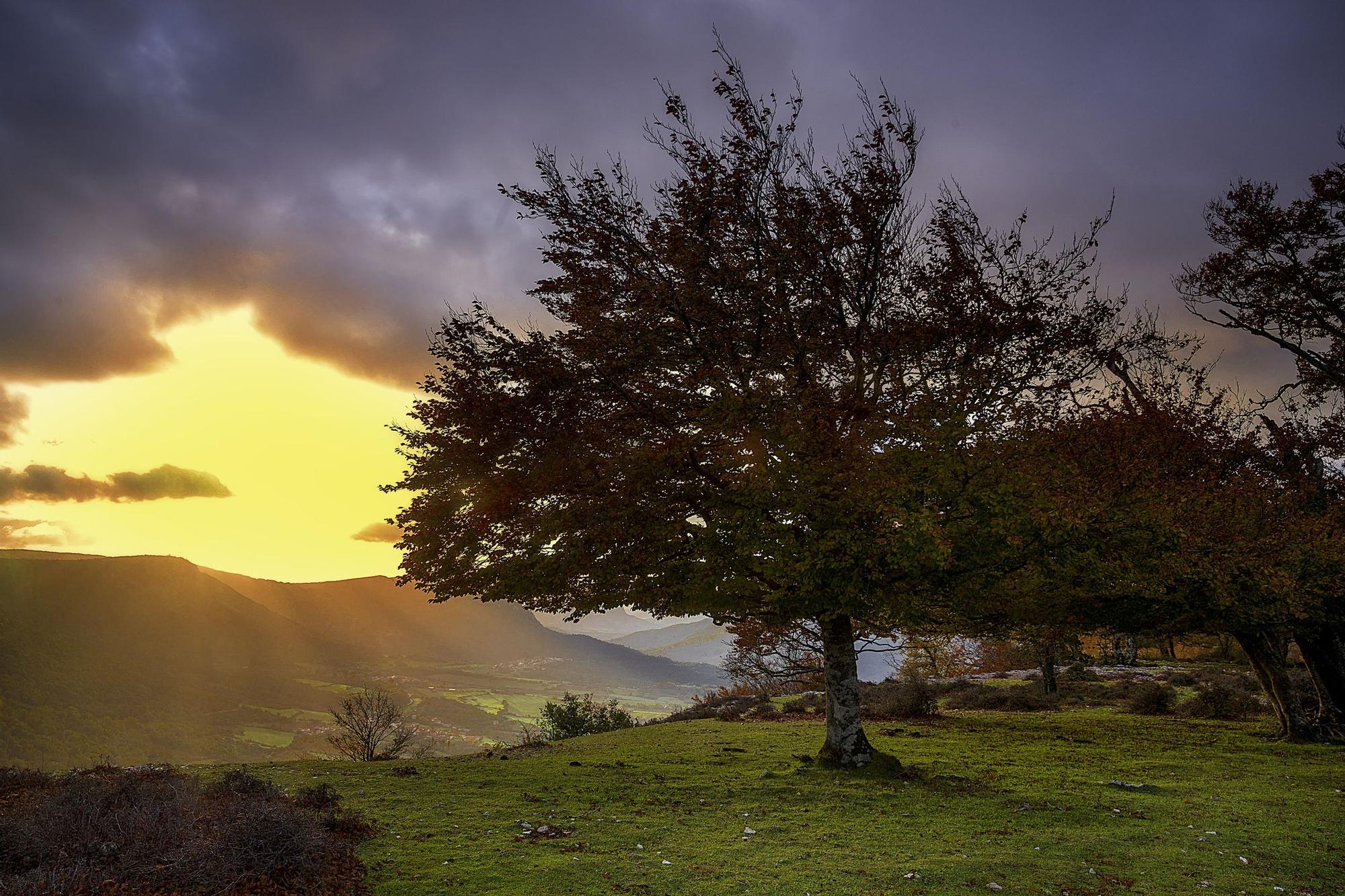 Esta ruta de senderismo en el interior del País Vasco, ya casi en el límite con Navarra, cautiva desde el inicio.