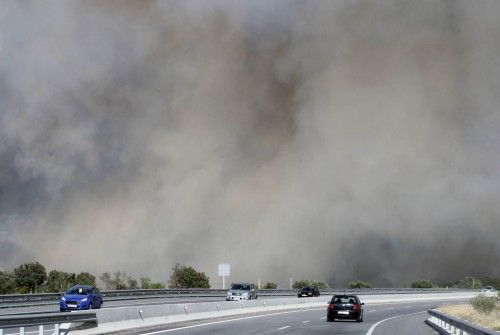 Incendi forestal a peu de les Gavarres