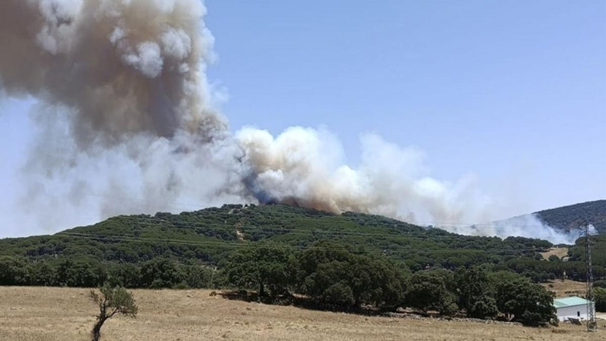 Imágenes del incendio declarado este lunes en Grazalema.