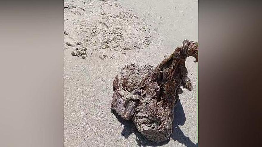 Una de las bolas formadas de un material desconocido que este testigo estira con un palo.