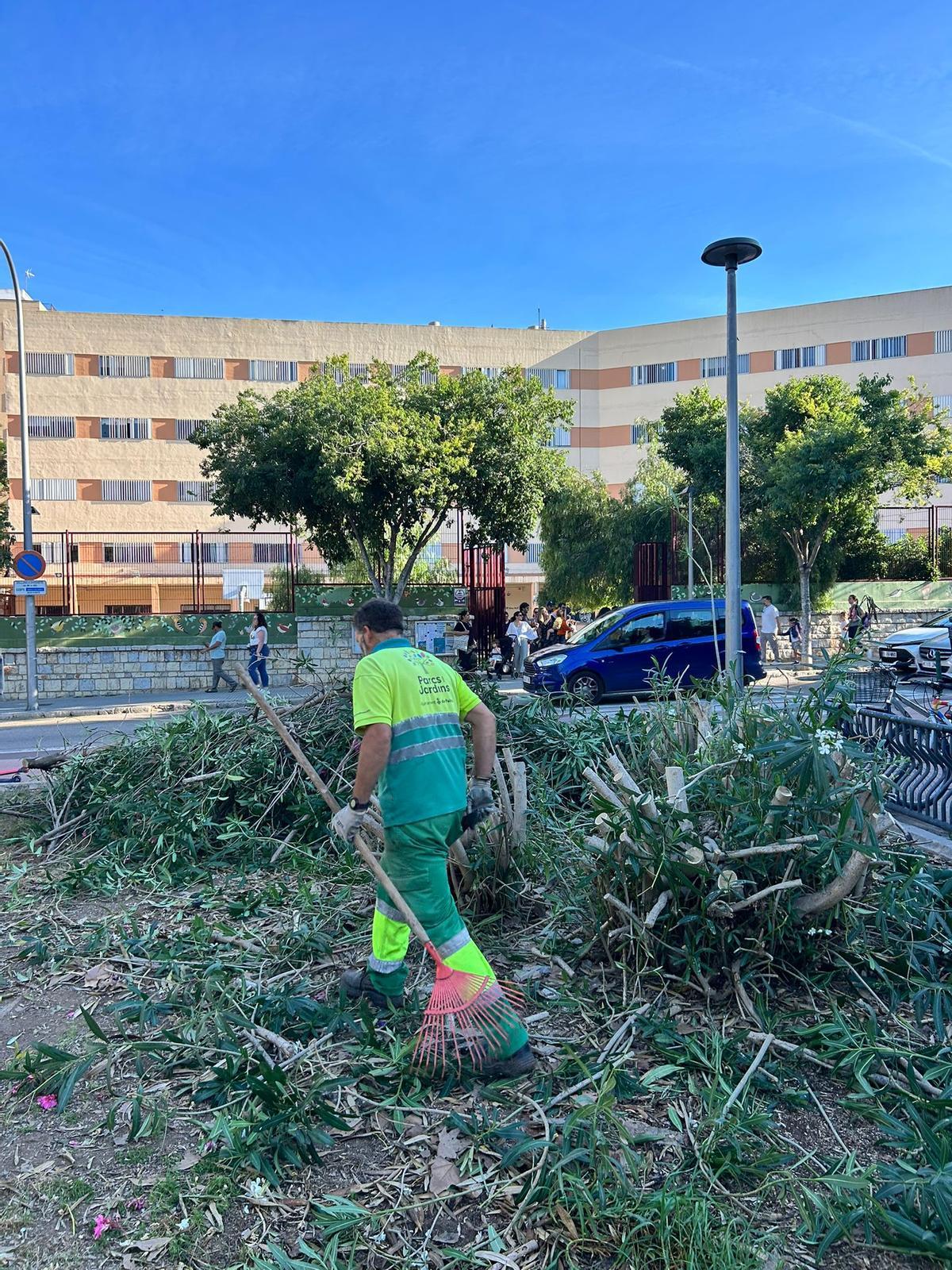 Cort ha eliminado buena parte de la zona verde.