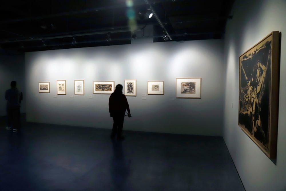 Exposición "Alechinsky en el País de la Tinta".