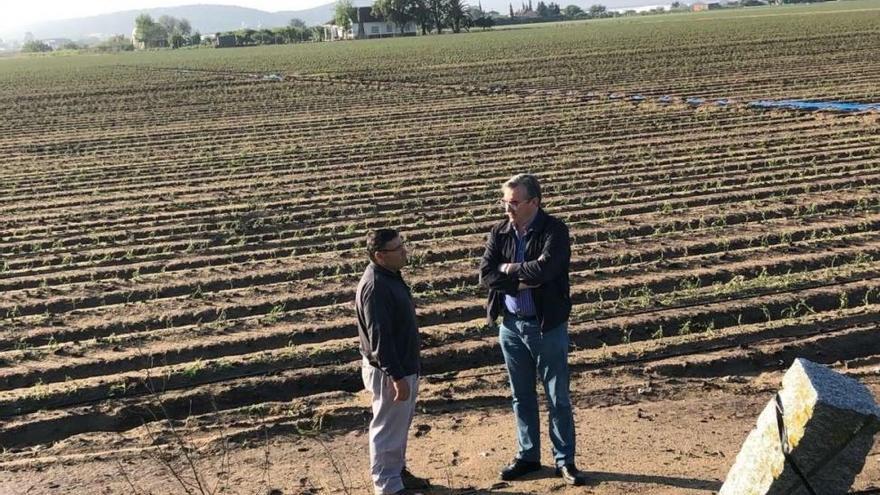 La Junta pide a Agroseguros celeridad en la valoración de los daños de las tormentas