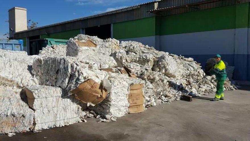La campaña de reciclaje prevé recoger 70.000 kilos de bolsos de uva en Novelda