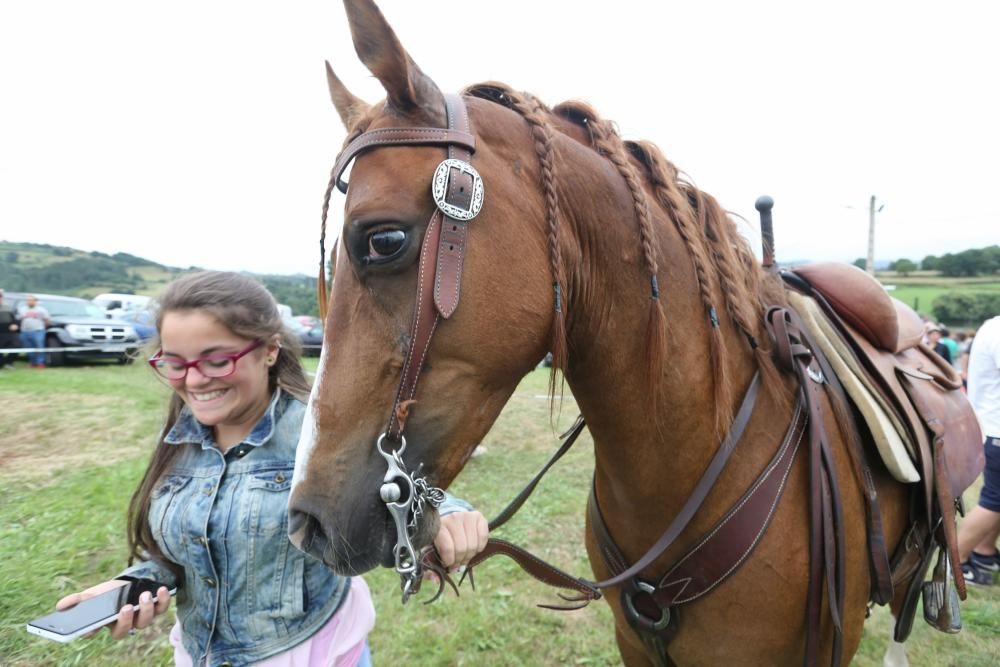 Espectáculo equestre en las fiestas de Premoño (Las Regueras)