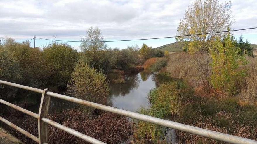 El arroyo a su paso por Quintanilla de Urz.