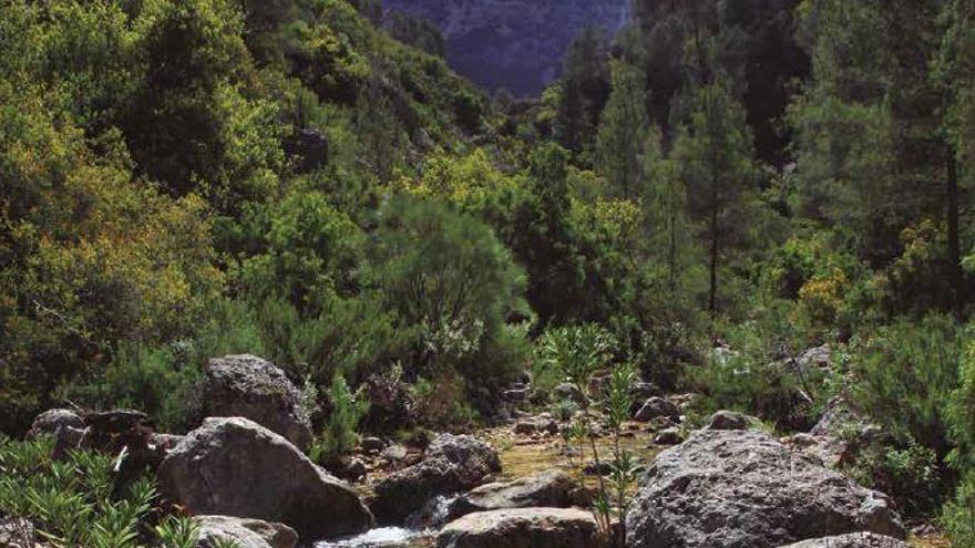 Sierra Espuña, un oasis al descubierto