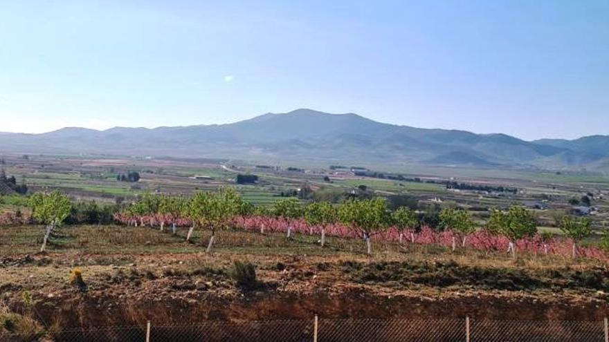Adjudicadas 60 hectáreas para cultivo en La Almunia de Doña Godina
