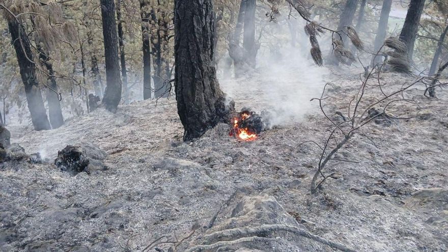 Apagan el incendio forestal de El Paso y los desalojados regresan a sus casas