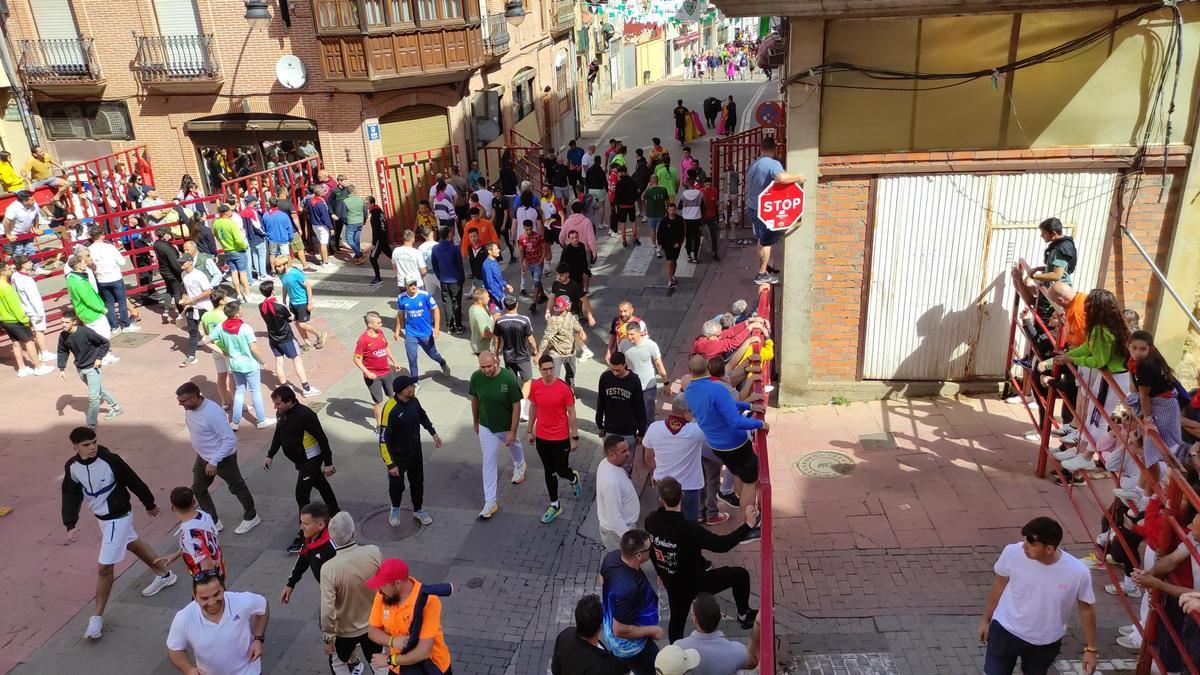 GALERÍA: El toro del cajón de La Reata, de las fiestas de Benavente, en imágenes