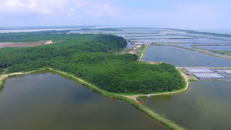 Nueva Pescanova inscribe la refundada Promarisco como marca registrada en la Unión Europea