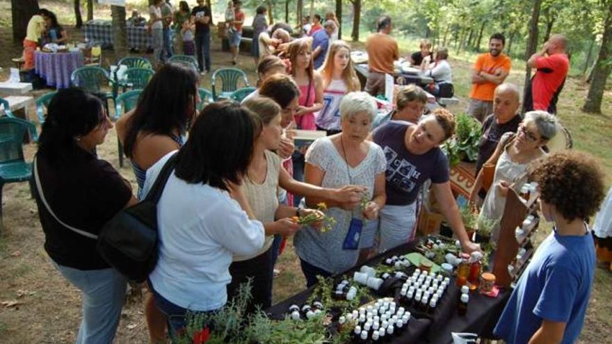 Uno de los puestos de productos naturales y herboristería, ayer, en la feria de Saxamonde.  // Faro