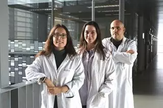 Investigadores del Cimus invitan al micromecenazgo para un proyecto de calcificación vascular patológica