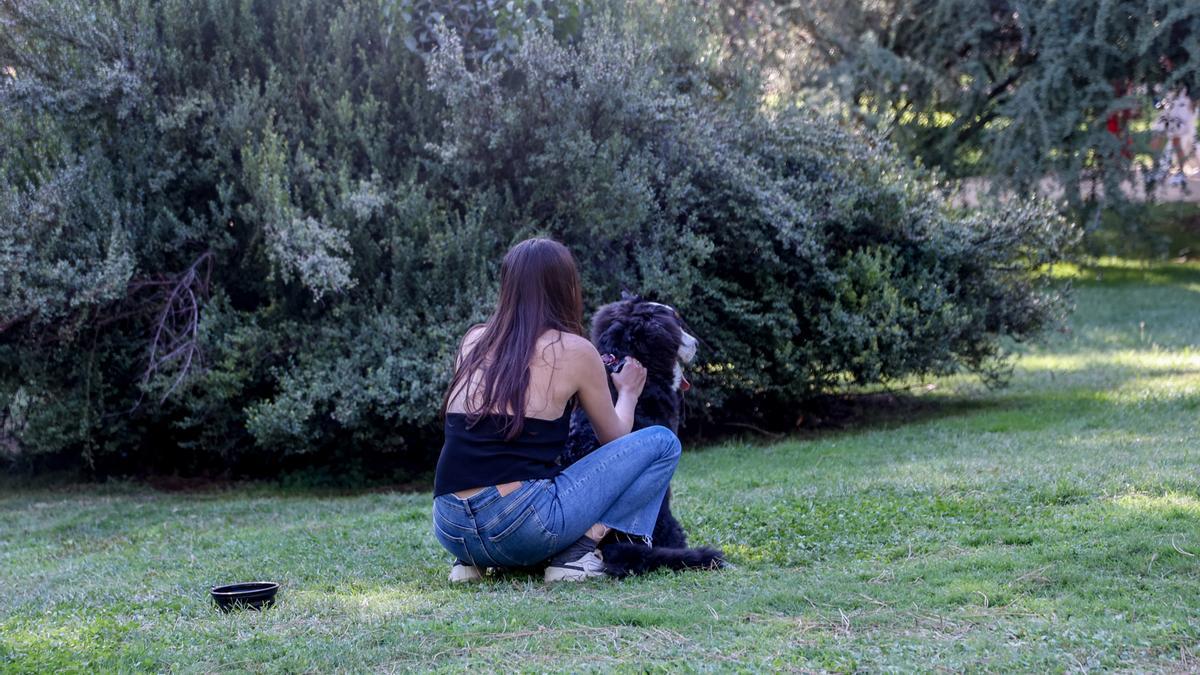 Una mujer acaricia a su perro.