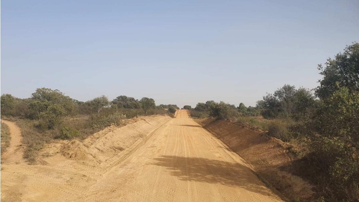 Camino rural en Zamora