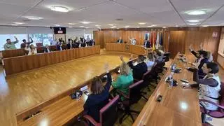 El pleno de Vigo pide de manera unánime la Facultad de Medicina
