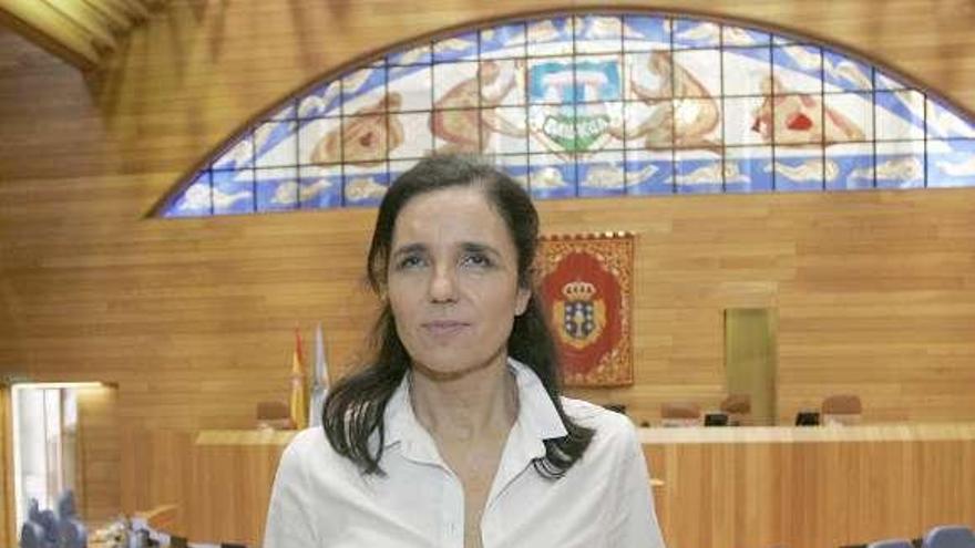 La presidenta del Parlamento, Pilar Rojo, en el hemiciclo. / xoán álvarez